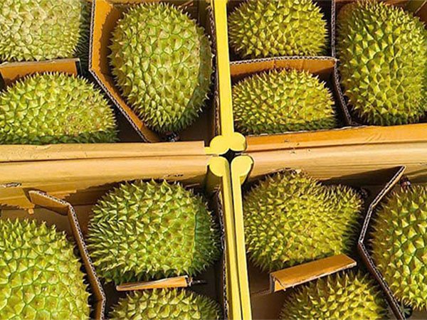 Nông sản, thực phẩm, thức ăn chăn nuôi, thức ăn thủy sản